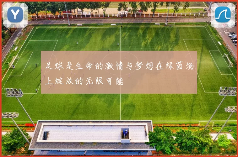 足球是生命的激情与梦想在绿茵场上绽放的无限可能