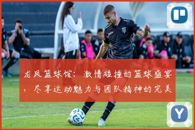 龙凤篮球馆：激情碰撞的篮球盛宴，尽享运动魅力与团队精神的完美结合