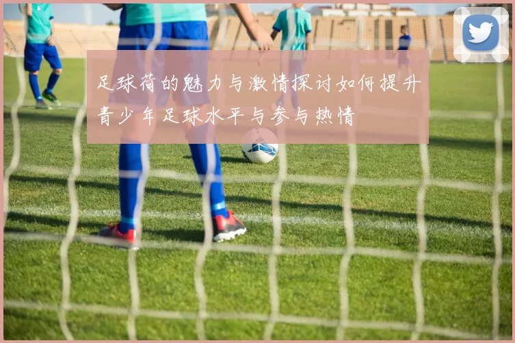 足球荷的魅力与激情探讨如何提升青少年足球水平与参与热情